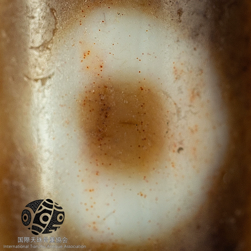 チベット▪めのうの二眼の天珠